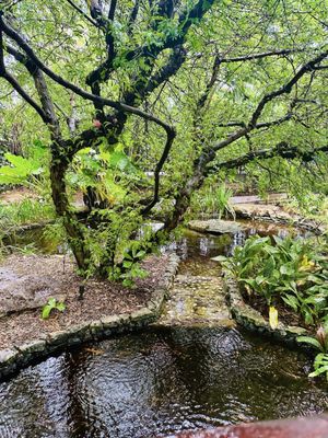 Miami Beach Botanical Garden by null