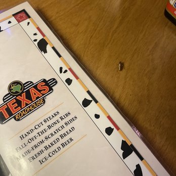 Texas Roadhouse - Roach crawling on my table. - Steakhouses Near Me - Albuquerque, New Mexico Texas Roadhouse - Roach crawling on my table. - Steakhouses Near Me - Albuquerque, New Mexico