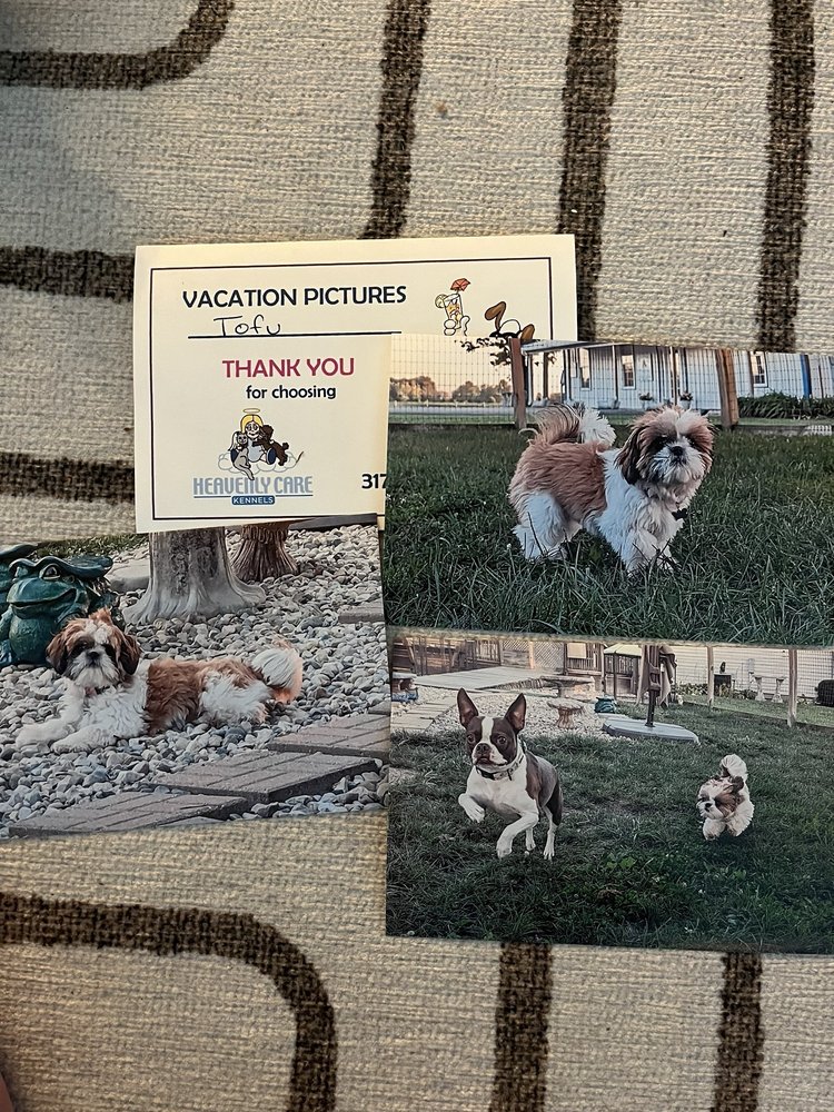 Heavenly Care Kennels - pet boarding facility in Sheridan, IN