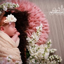 Newborn Photography by Worth A 1000 Words Studios.