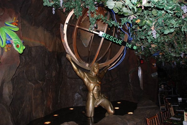 Rainforest Cafe by null