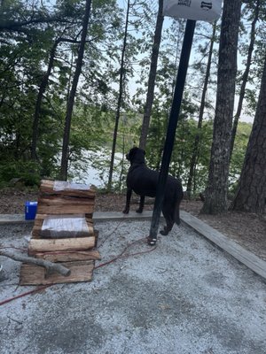 Devils Fork State Park by null