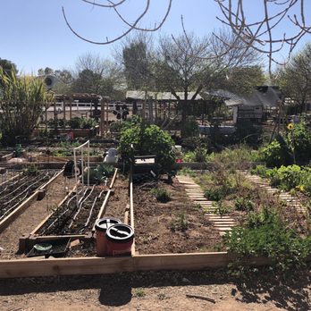 Joe's Farm Grill - American Near Me - Gilbert, Arizona Joe's Farm Grill - American Near Me - Gilbert, Arizona