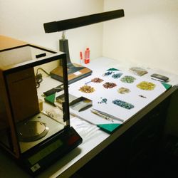 The Diamond Grader - Parcel Examination Room. These are rough Montana Sapphires being sorted for Color and Weight.