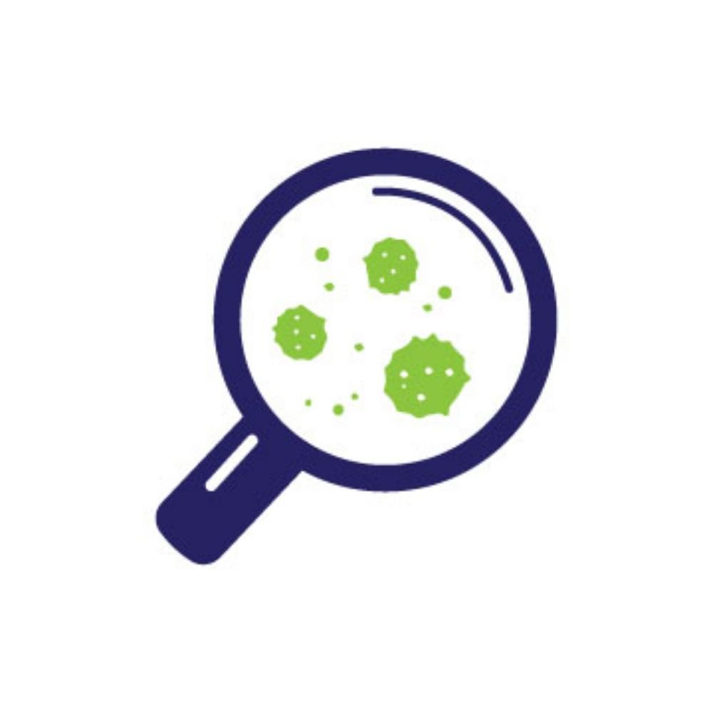 Baltimore Mold Testing - mold inspector in Baltimore, MD