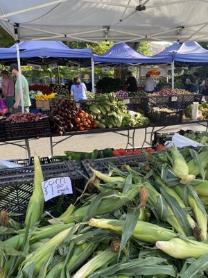 Forest Hills Greenmarket by null