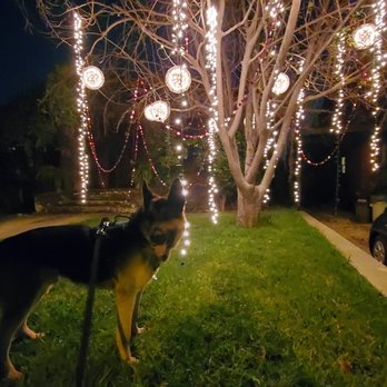 Pasadena Humane - He got a morning walk and a night walk every day, and if it wasn't hot, one mid-day as well - Animal Shelters Near Me - Pasadena, California