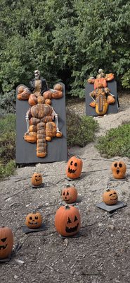 South Coast Botanic Garden by null