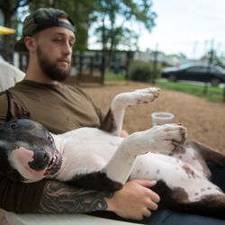 MUTTS Canine Cantina - Fort Worth