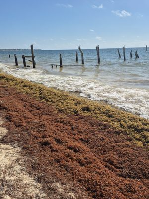 Excellence Riviera Cancun by null