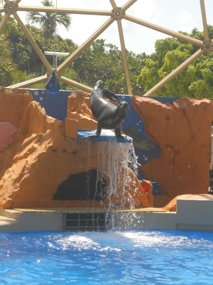 Miami Seaquarium by null