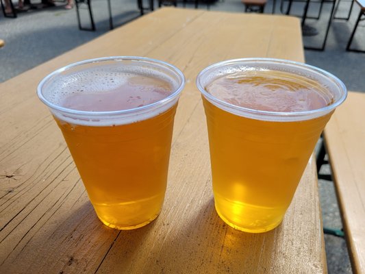 Cape Cod Beer by null