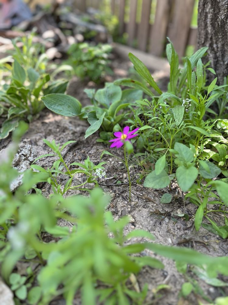 Children's Discovery Center - childcare center in Austin, TX
