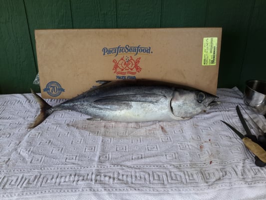 Pacific Seafood Fish Market by null