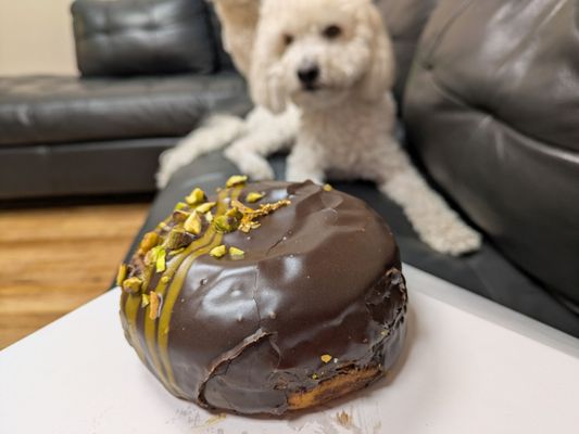 Wicked Donuts by null