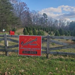 Ingemont Farms - Christmas tree and blueberry farm sign.