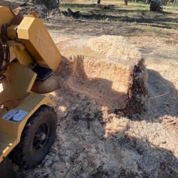 Stewart Stump Grinding - Tree Services Near Me
