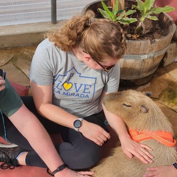 Nurtured By Nature - Community Service/Non-Profit Near Me - Pauma Valley, California Nurtured By Nature - Community Service/Non-Profit Near Me - Pauma Valley, California