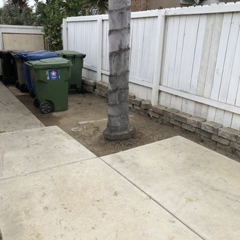 A's Tree Service - Cleaned up everything! Not a pod or branch piece in sight. - Tree Services Near Me - Placentia, California
