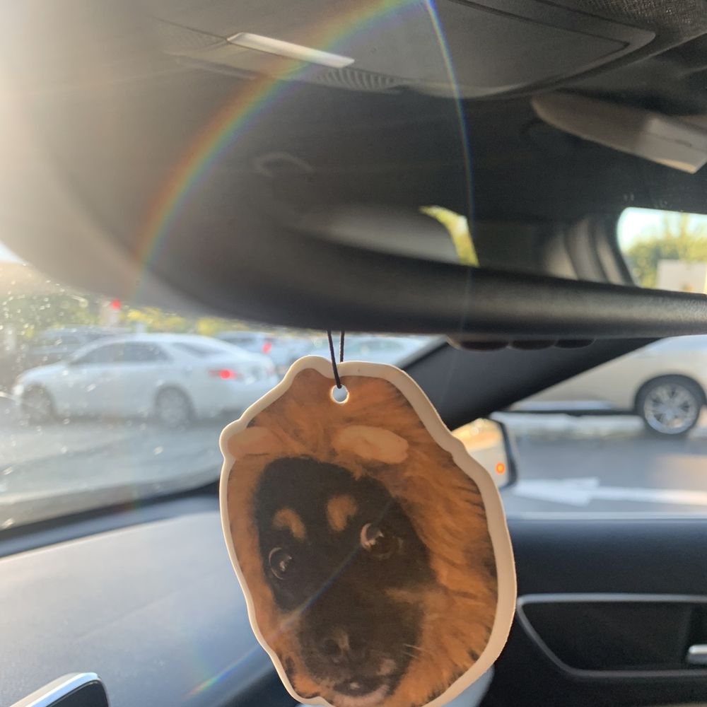 Gee Ink Tattoo - Already using said air freshener. Lol! - Tattoo Near Me - Alhambra, California Gee Ink Tattoo - Already using said air freshener. Lol! - Tattoo Near Me - Alhambra, California