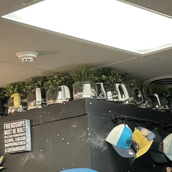 Biscuit Head - Coffee pot plants! - Cafes Near Me - Asheville, North Carolina