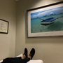 Photo of Fertility & Lifespan Medical Institute