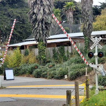 San Francisco Zoo - The railroad crossing at the San Francisco zoo. - Zoos Near Me - San Francisco, California San Francisco Zoo - The railroad crossing at the San Francisco zoo. - Zoos Near Me - San Francisco, California