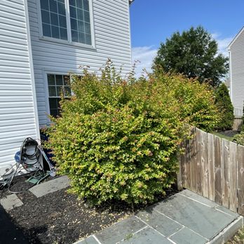 Liberty Tree And Landscape - Tree Services Near Me Liberty Tree And Landscape - Tree Services Near Me