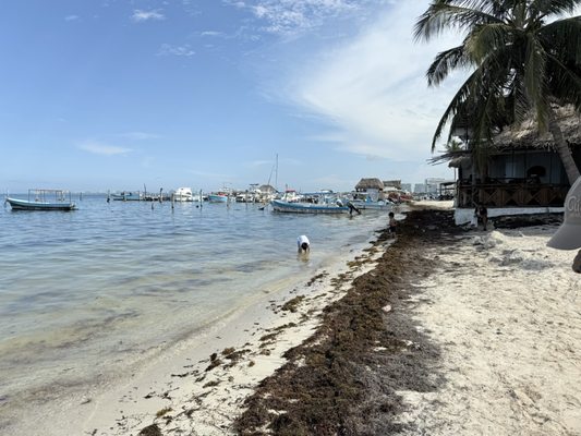 Playa del Niño by null