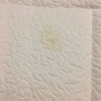 Great Wolf Lodge - Stains on the bed - Resorts Near Me - Williamsburg, Virginia Great Wolf Lodge - Stains on the bed - Resorts Near Me - Williamsburg, Virginia