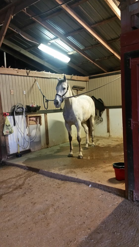 Southern Bella Equine - equestrian in Canton, GA