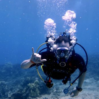 Destination Diving and Snorkel Maui - Shaka - Scuba Diving Near Me