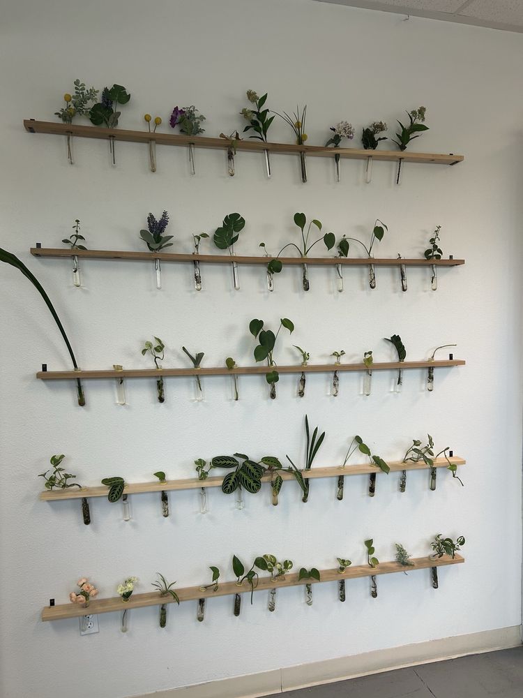 Lighthouse Charities - social services organization in North Las Vegas, NV