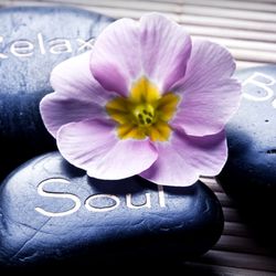 Therapeutic Touch By Charlotte Baccus