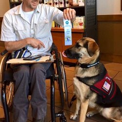 No Limits Service Dog and Obedience Training - Look at my CGC Urban ribbon dad!