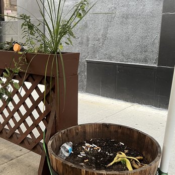 O'Leary's Public House - a potted plant on the sidewalk - Pubs Near Me - Chicago, Illinois