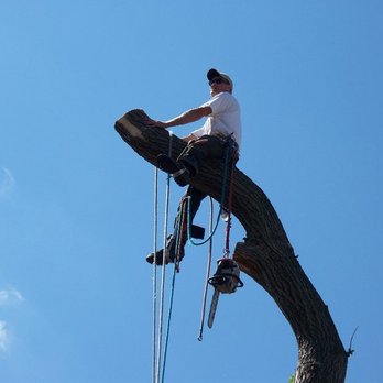 Scott's Tree Service - Tree Services Near Me - Maple Grove, Minnesota Scott's Tree Service - Tree Services Near Me - Maple Grove, Minnesota