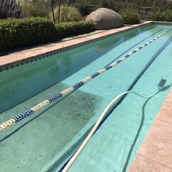 Platinum Pool Service - Cleaning up a dirty pool - Pool Cleaners Near Me Platinum Pool Service - Cleaning up a dirty pool - Pool Cleaners Near Me