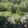 What A Waste Junk Removal