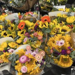 Flower selection today 1.8.26