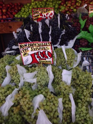 Three Guys from Brooklyn by null