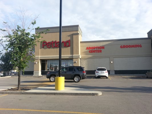 PETLAND - Pet Stores - 4915 130 Avenue 