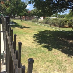 The Dog Depot - This is the smaller section for small or shy dogs