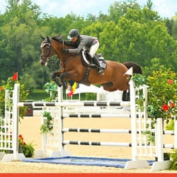 Cavalia Stables - Cavalia Stables Rider Jumping