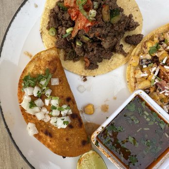 Wild Taco - Berkeley - Tacos Near Me - Denver, Colorado