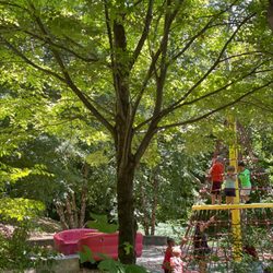 Smith Memorial Playground & Playhouse - Shady play areas