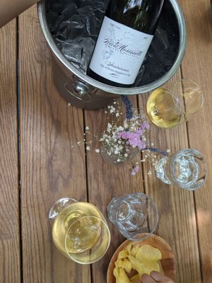 Paradise Grapevine by null