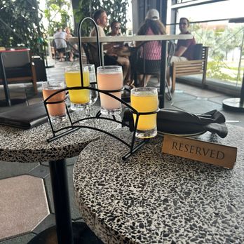M.Bird - Flight - Cocktail Bars Near Me - Tampa, Florida M.Bird - Flight - Cocktail Bars Near Me - Tampa, Florida