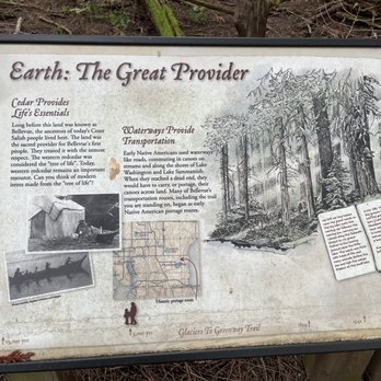 Lake Hills Greenbelt - Earth: The Great Provider - Parks Near Me - Bellevue, Washington Lake Hills Greenbelt - Earth: The Great Provider - Parks Near Me - Bellevue, Washington