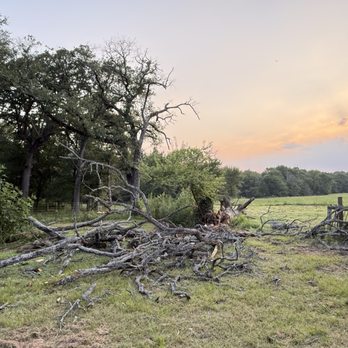 Texas Treescaping Experts - As requested, all I wanted was to get the tree on the ground and we can do the clean up... job was done! - Tree Services Near Me - Wills Point, Texas Texas Treescaping Experts - As requested, all I wanted was to get the tree on the ground and we can do the clean up... job was done! - Tree Services Near Me - Wills Point, Texas